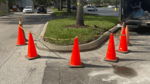 Read more about the article Restoration of Curb over Drain